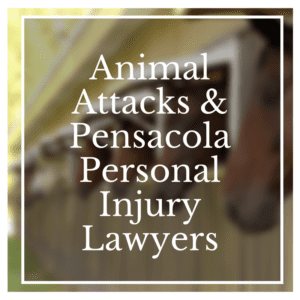 Pensacola Personal Injury Lawyer
